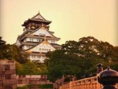 Professionelle japanische Übersetzung - Sofortangebot