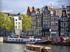 Professionelle niederländische Übersetzung - Sofortangebot