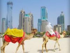 Professionelle arabische Übersetzung - Sofortangebot